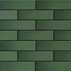 Фасадная плитка Cerrad гладкая 245х65х6,5 мм zielone глазурованный Херсон