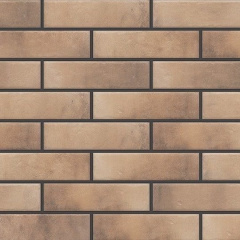 Фасадна плитка Cerrad Retro brick структурна 245х65х8 мм masala Кропивницький