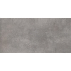 Плитка підлогова Paradyz Tecniq polpoler 29,8x59,8 см silver Бердичів