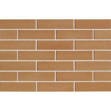 Фото - Цегла облицювальна ECOBRICK гладкий 250х120х65 мм персиковий Цегла облицювальна ECOBRICK гладкий 250х120х65 мм персиковий