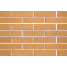 Фото - Кирпич облицовочный ECOBRICK гладкий 250х120х65 мм апельсиновый Кирпич облицовочный ECOBRICK гладкий 250х120х65 мм апельсиновый