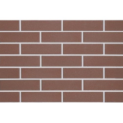 Цегла облицювальна ECOBRICK гладкий 250х120х65 мм молочний шоколад Хмельницький