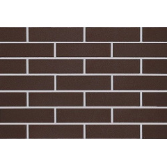 Цегла облицювальна ECOBRICK гладкий 250х120х65 мм коричневий Київ