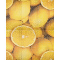 Панно АТЕМ Lemon Big 885x1190 мм Киев