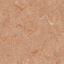 Лінолеум Graboplast Top Extra ПВХ 2,4 мм 4х27 м (4213-272) Житомир