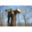 Удаление дерева полностью с использованием оттяжки Киев