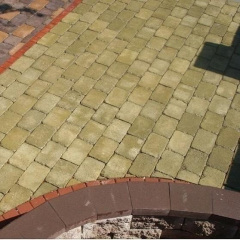 Тротуарна плитка Золотий Мандарин Цегла Антик 240х160х90 мм гірчичний на сірому цементі Тячів