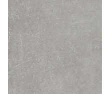 Керамограніт для підлоги Golden Tile Stonehenge 442П80 600х600 мм grey
