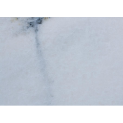 Мрамор KEMAL PASHA сляб белый с серым 30 мм Днепр