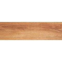 Керамогранитная плитка для пола Cerrad Mustiq Brown 600x175x8 мм Львов