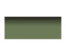 Коньково-карнизная черепица Aquaizol 250х1000 мм зелений