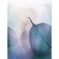 Vivid colours 25*75 Vivid colours 25*75