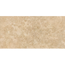 Керамогранитная плитка Stevol Matt biege 40х80 см (W4814AWC-B)