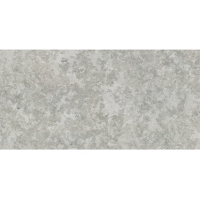 Керамогранітна плитка Stevol Matt grey 40х80 см (W4814AWI-B)