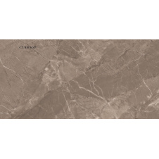 Керамогранітна плитка Stevol Turkey brown 40х80 см (CT48065P)