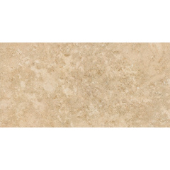 Керамогранитная плитка Stevol Matt biege 40х80 см (W4814AWC-B) Тернополь