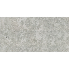 Керамогранитная плитка Stevol Matt grey 40х80 см (W4814AWI-B) Киев
