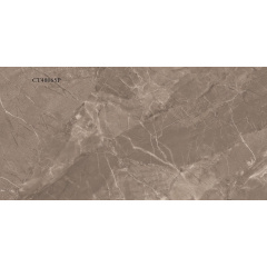 Керамогранітна плитка Stevol Turkey brown 40х80 см (CT48065P) Хмельницький