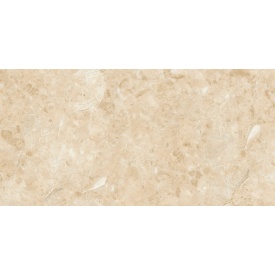 Керамогранітна плитка Stevol Marble 40х80 см (CT48014P)