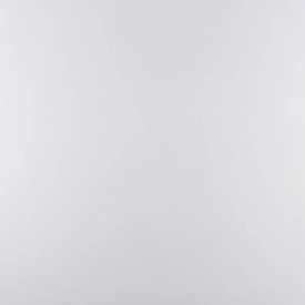 Керамогранит Stevol Супер Белый Extra (QPB6000) 60х60 см