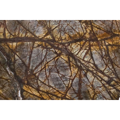 Мрамор RAIN FOREST BROWN 3 см темно-коричневый Кропивницкий