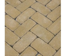 Тротуарна плитка Золотий Мандарин Цегла Антик 200х100х60 мм на сірому цементі гірчичний