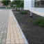 Тротуарна плитка Золотий Мандарин Цегла стандартна 200х100х80 мм на сірому цементі персиковий Київ