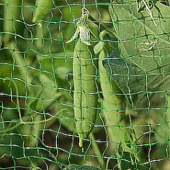 Сетка для защиты урожая TENAX Ортофлекс 2х500 м зеленая Херсон