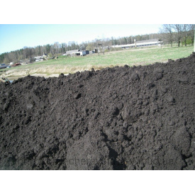 Чернозем плодородный