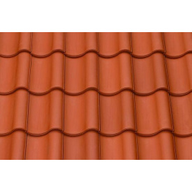 Керамічна черепиця АВС-Klinkergruppe TG10 NATUR ROT 445x290 мм