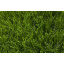 Искусственная трава для футбола MAX S Киев