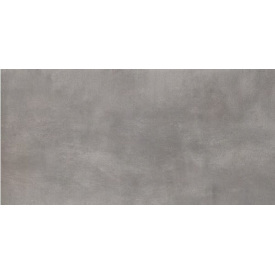 Плитка підлогова Paradyz Tecniq polpoler 29,8x59,8 см silver
