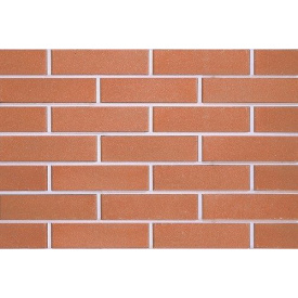 Цегла облицювальна ECOBRICK гладкий брусничний 250х120х65 мм