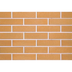 Цегла облицювальна ECOBRICK гладкий 250х120х65 мм апельсиновий