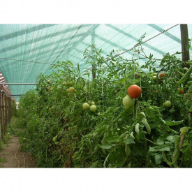 Затіняюча сітка Karatzis 6х50 м 35% зелена