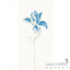 Плитка RAKO WITMB010 - Tulip декор Рівне