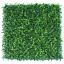 Декоративне зелене покриття Engard Самшит молодий 50x50 см Чернівці