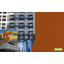 Фіброцементна Плита Cedar у фасадних системах 1200x3000 мм 2040 S-Y20R Київ