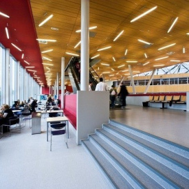 Акустична вологостійка плита Rockwool Rockfon Ligna 600x600x15 мм світлий бук