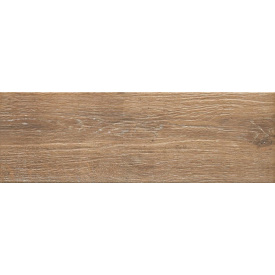 Напольная плитка Ceramika Gres Ashwood Umbra 20х60 см