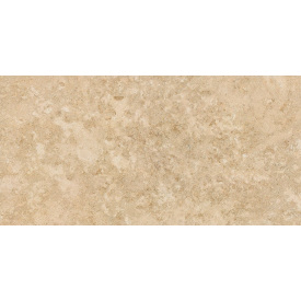 Керамогранитная плитка Stevol Matt biege 40х80 см (W4814AWC-B)