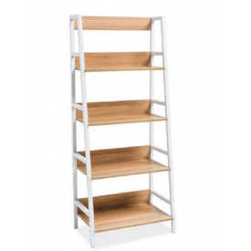 Стеллаж для хранения в стиле LOFT (Rack - 198)