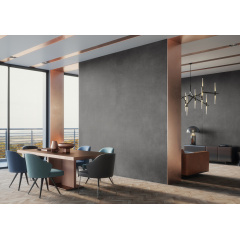 Керамогранитная плитка матовая Cerrad Concrete Anthracite Rect. 119,7х59,7х0,8 см Хмельницкий