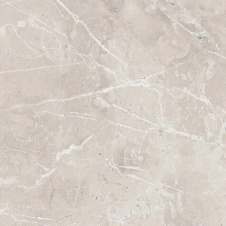 Плитка керамогранит Raviraj Ceramics Moon Grey полированная напольная 60х60 см (353211)