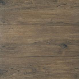 Керамогранитная плитка Cerrad Gres Ragaya Dark Brown Rect 60x60 см