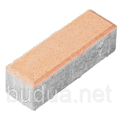 Тротуарная плитка “Кирпич” Стандарт УМБР цвет на белом цементе 40мм Запорожье