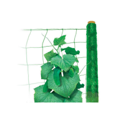 Полімерна сітка Tenax Ортинет 1,7х5 м зелена Тернопіль