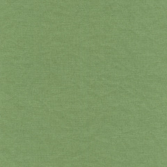 Вінілові шпалери на флізеліновій основі Rasch Freundin 464092 Зелений Київ