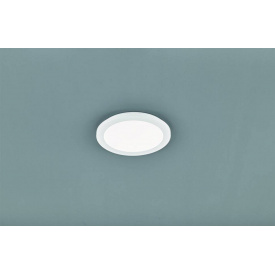 Настенно-потолочный светильник Trio R62921501 Camillus