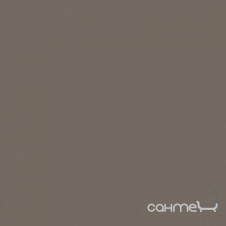 Плитка настінна 15x15 RAKO Color One Grey-Brown Глянсова RAL 0805010 WAA19303